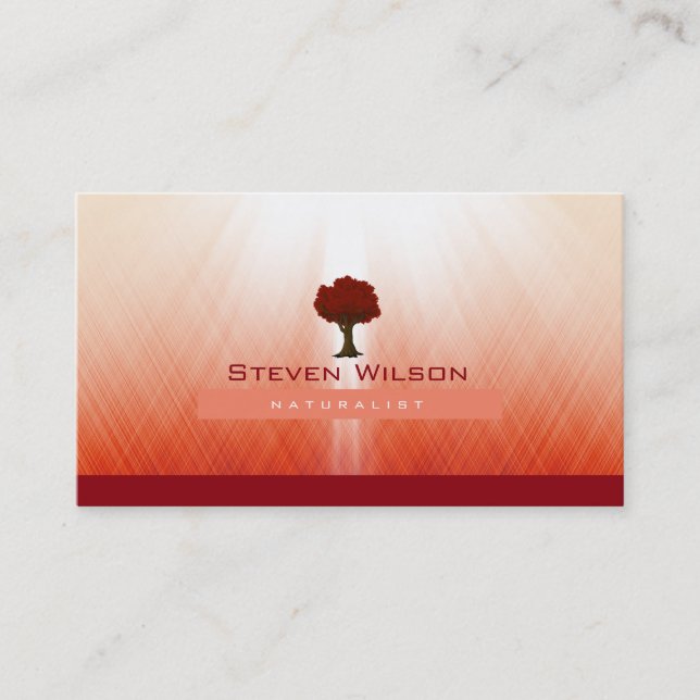 Carte De Visite Arbre élégant Red Nature Rays Jardin Paysage (Devant)