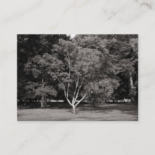 Carte De Visite Arbre Magnolia - BW chaud (Devant)