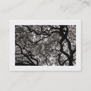 Carte De Visite Arbre Magnolia en Fleur 02 (Bordé)