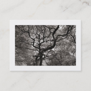 Carte De Visite Arbre Magnolia en Fleur 03 (Bordé)