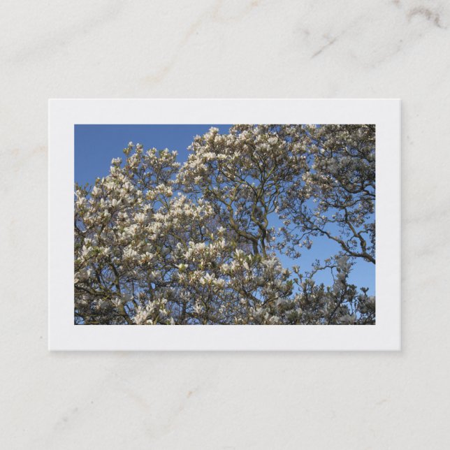 Carte De Visite Arbre Magnolia en Fleur (Bordé) (Devant)