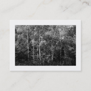 Carte De Visite Arbres à bouleau d'argent B&W, Mini photo