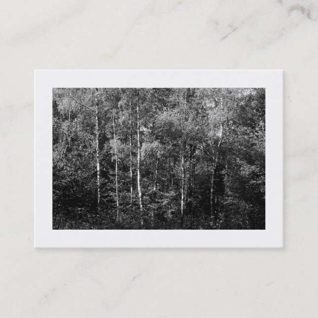 Carte De Visite Arbres à bouleau d'argent B&W, Mini photo (Devant)