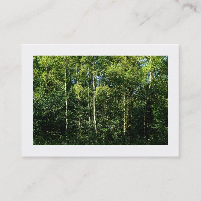 Carte De Visite Arbres à bouleau d'argent, Mini photo (Devant)