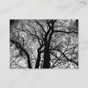Carte De Visite Arbres à Contraste Élevé