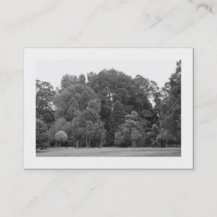 Carte De Visite Arbres, Bute Park, Cardiff