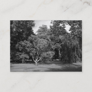 Carte De Visite Arbres, Bute Park, Cardiff BW