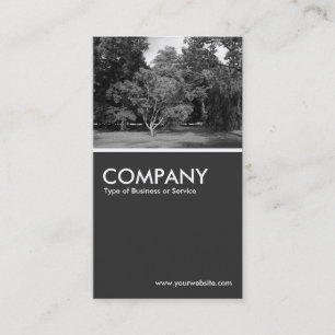 Carte De Visite Arbres, Bute Park, Cardiff BW - 80pc Grey