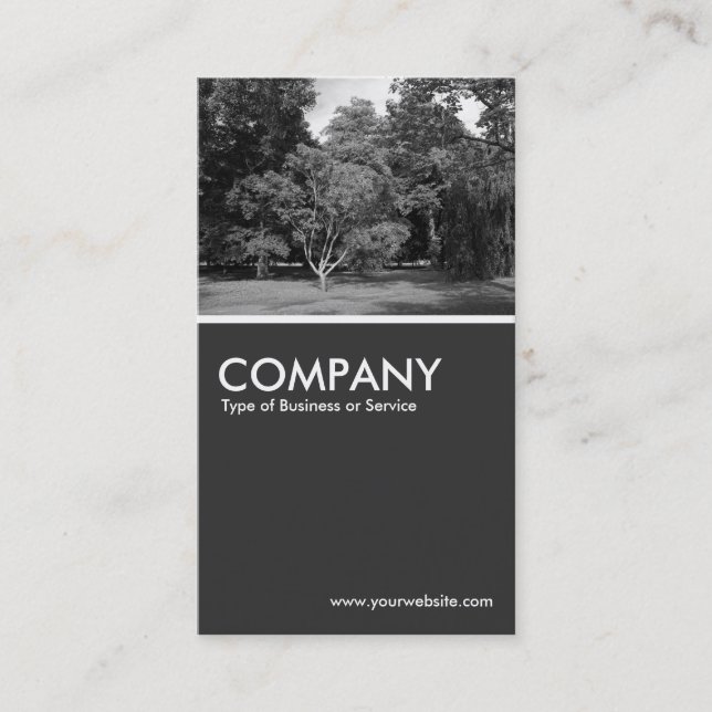Carte De Visite Arbres, Bute Park, Cardiff BW - 80pc Grey (Devant)