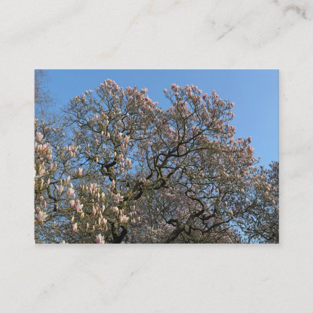 Carte De Visite Arbres de Magnolia en fleurs (Devant)