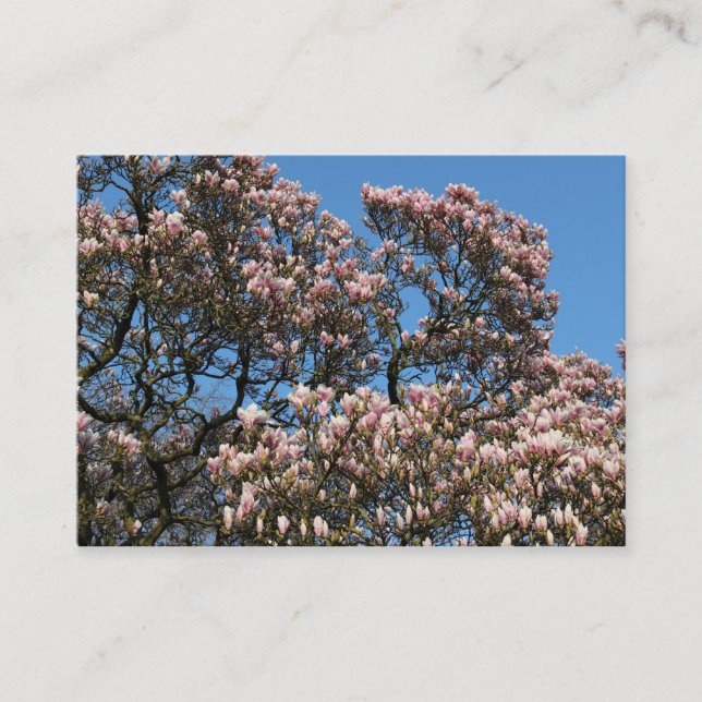 Carte De Visite Arbres de Magnolia en fleurs (Devant)
