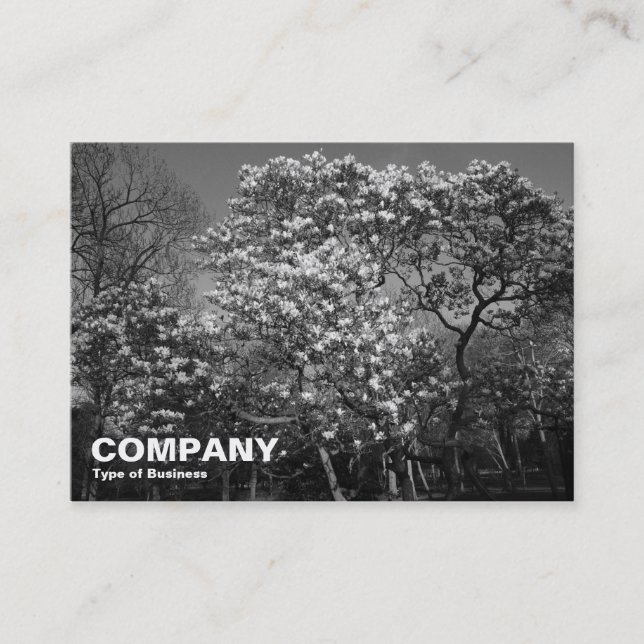 Carte De Visite Arbres de Magnolia en fleurs (BW) (Devant)