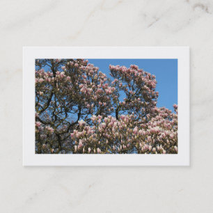 Carte De Visite Arbres de Magnolia en fleurs (frontière)