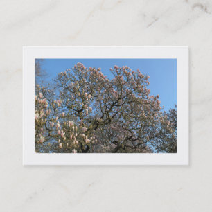 Carte De Visite Arbres de Magnolia en fleurs (frontière)