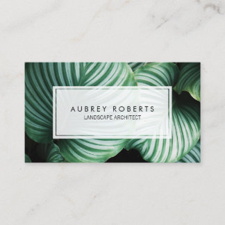 Carte De Visite Architecte du paysage professionnel Plante tropica