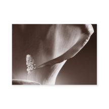 Arrière - plan noir à la couleur blanche de la cal