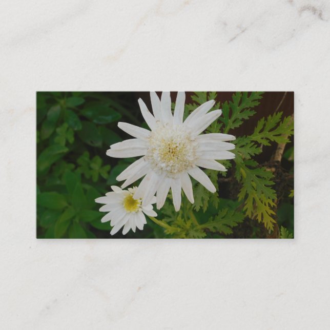 CARTE DE VISITE ART&STYLE DE DESIGN  (Devant)