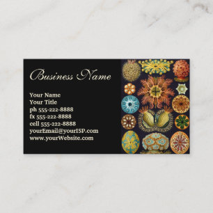 Carte De Visite Ascidiae par Ernst Haeckel, Animaux marins Vintage