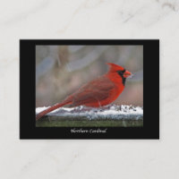 ATC Cardinal du Nord