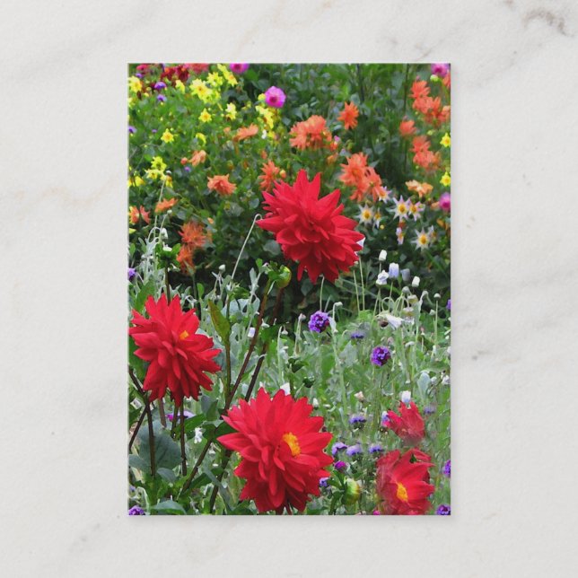 Carte De Visite ATC de jardin de dahlia (Devant)