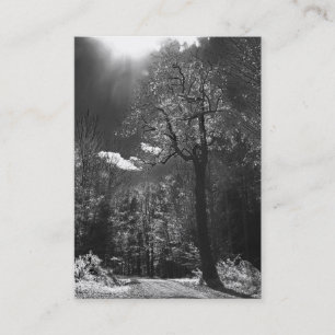 Carte De Visite ATC lumineux d'arbre