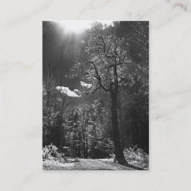 Carte De Visite ATC lumineux d'arbre (Devant)