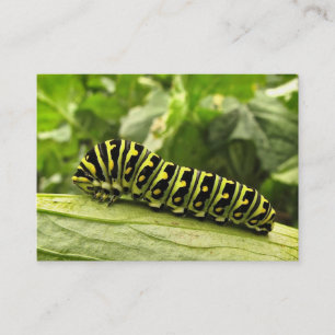 Carte De Visite ATC noir de Caterpillar de machaon
