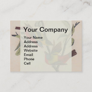 Carte De Visite Audubon Peint Bunting Bird Wildlife