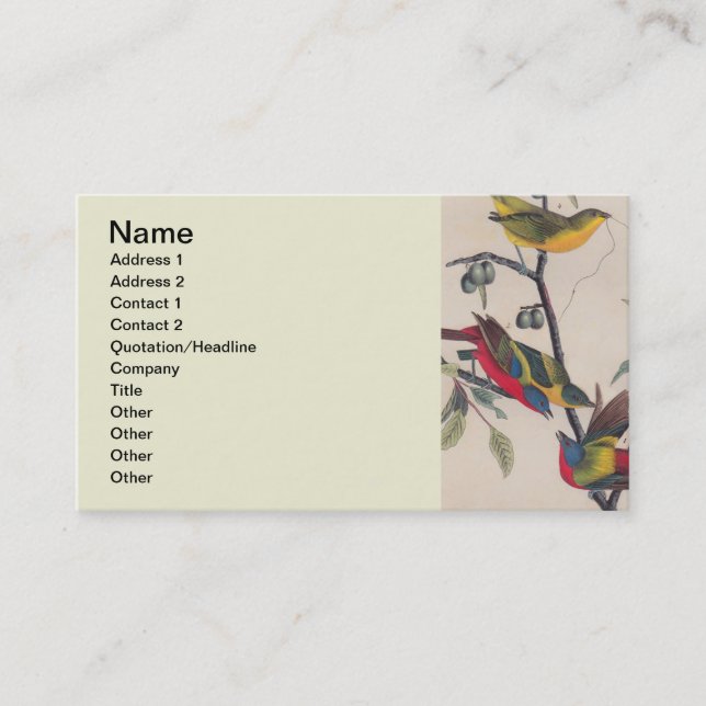Carte De Visite Audubon Peint Bunting Bird Wildlife (Devant)