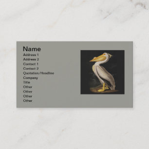 Carte De Visite Audubon White Pelican Bird Amérique