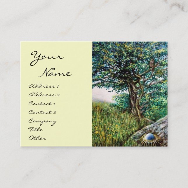 Carte De Visite AURORA jaune vert bleu rouge blanc gris brun (Devant)