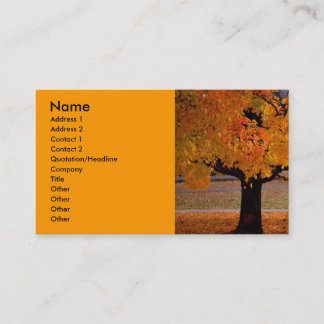 Carte De Visite automne (1), nom, adresse 1, adresse 2, contact...