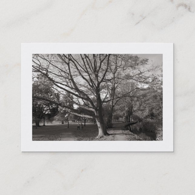 Carte De Visite Automne dans le parc (frontière) (Devant)