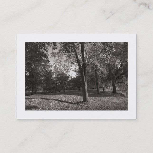 Carte De Visite Automne dans le parc (frontière) (Devant)