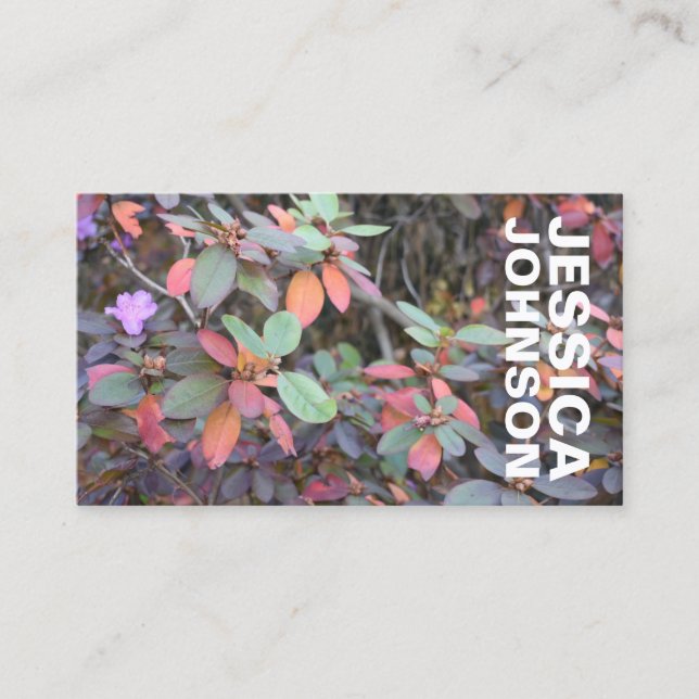 Carte De Visite Automne Feuillage Automne Feuilles Nature Arbre Ph (Devant)