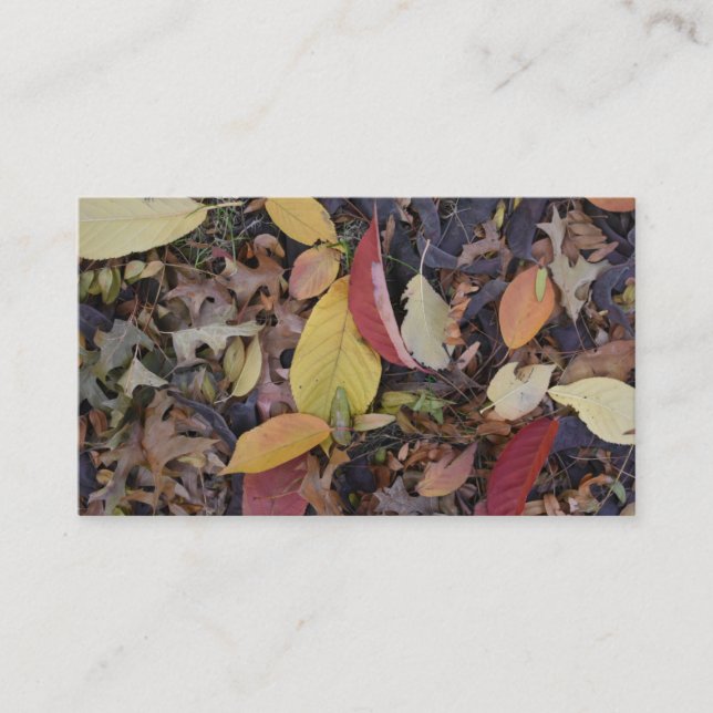Carte De Visite Automne Feuillage Automne Feuilles Nature Arbre Ph (Devant)