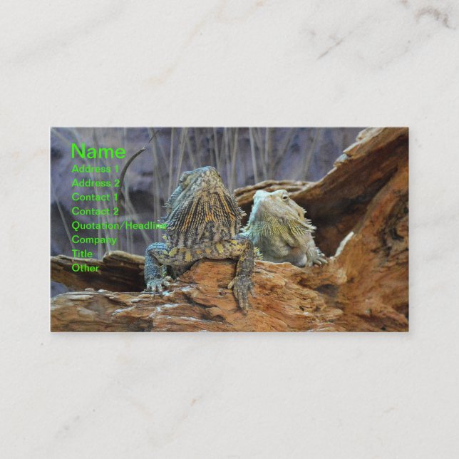 Carte de visite avec deux lézards curieux (Devant)