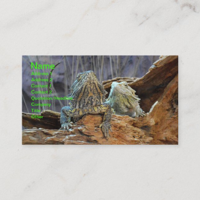 Carte de visite avec deux lézards curieux (Devant)