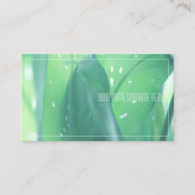 Carte de visite avec feuilles de plante vert pâle  (Devant)