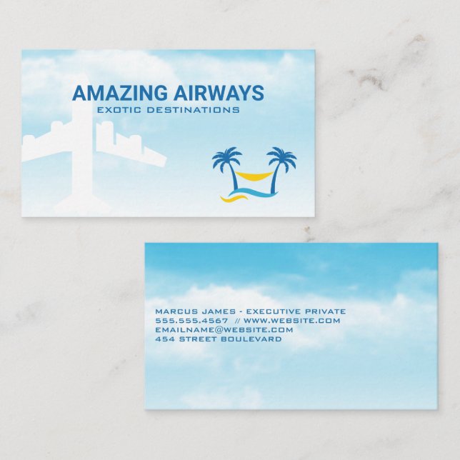 Carte De Visite Avion dans les nuages | Logo tropical (Devant / Derrière)