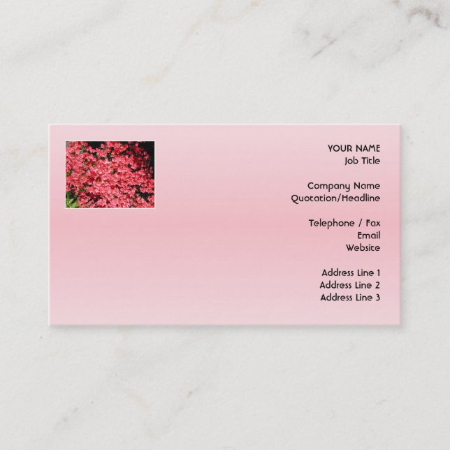 Carte De Visite Azalées. Fleurs assez roses (Devant)