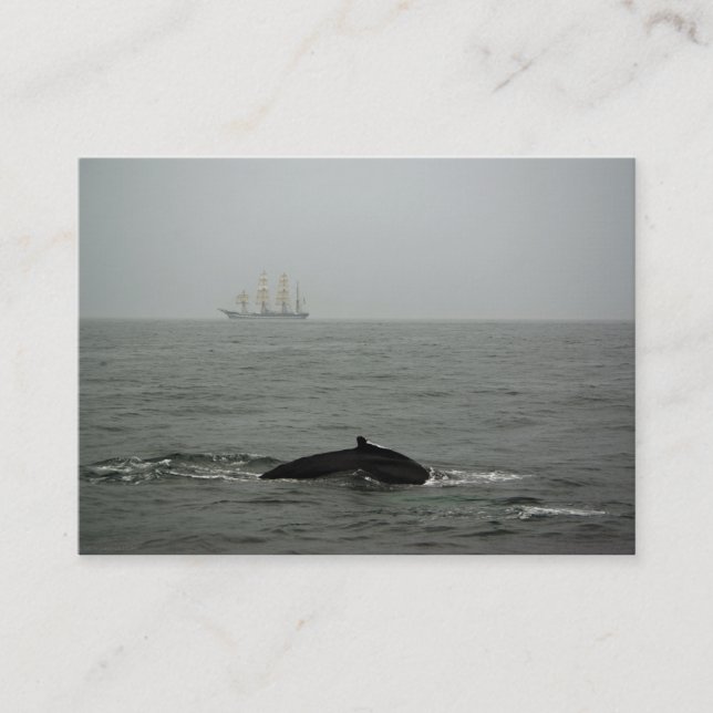 Carte De Visite Baleine à bosse et gros navire Mini impression (Devant)