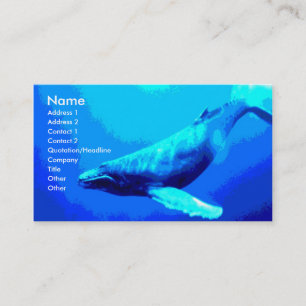 Carte De Visite Baleine de bosse