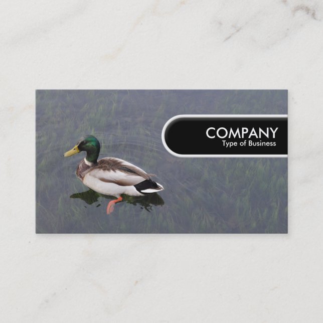 Carte De Visite Balise Arête Arrondie - Canard colvert (Devant)