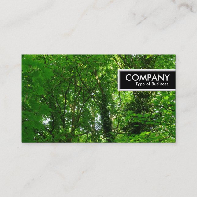 Carte De Visite Balise de bord - Arbres au printemps (Devant)