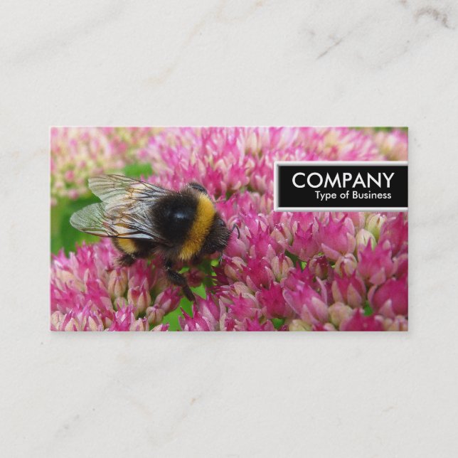 Carte De Visite Balise de bord - Bumble Bee sur Sedum (Devant)