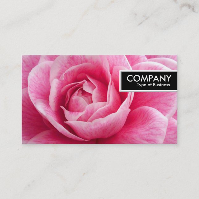 Carte De Visite Balise de bord - Camelia rose (Devant)