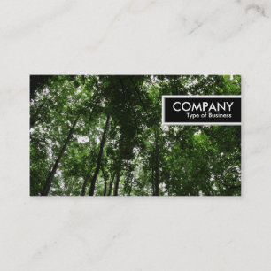 Carte De Visite Balise de bord - Canopée en bois 01