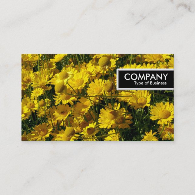 Carte De Visite Balise de bord - Faisceaux jaunes (Devant)