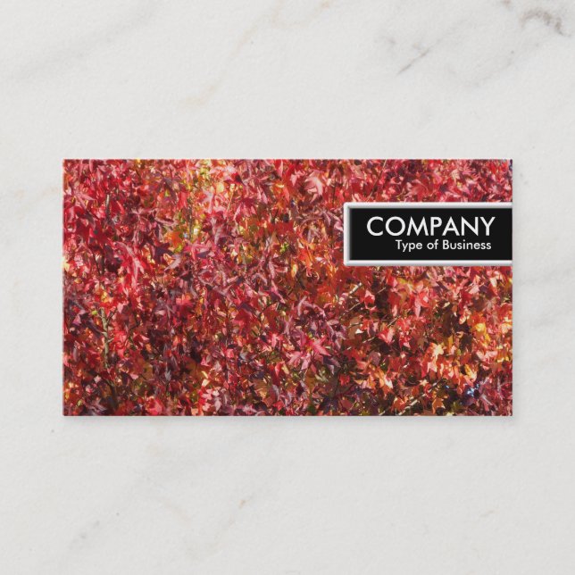 Carte De Visite Balise de bord - Feuilles d'automne (Devant)